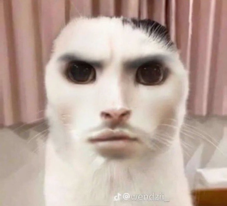 시티아틀리에 이미지