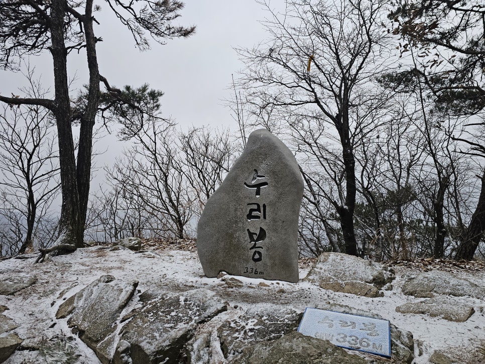 욜로종합관리 이미지