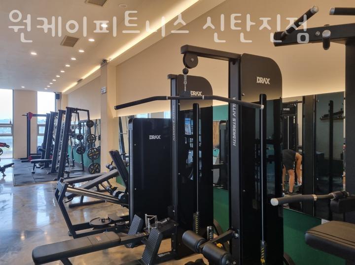 원케이피트니스 이미지