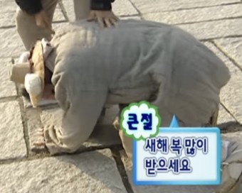 춤추는갈매기 이미지