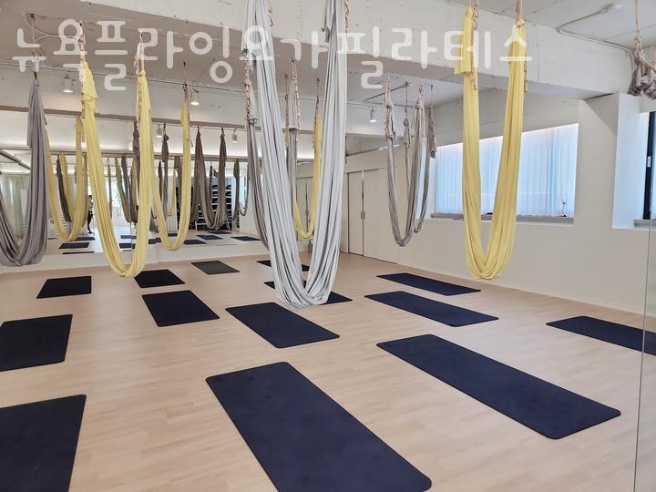 뉴욕체형교정 이미지