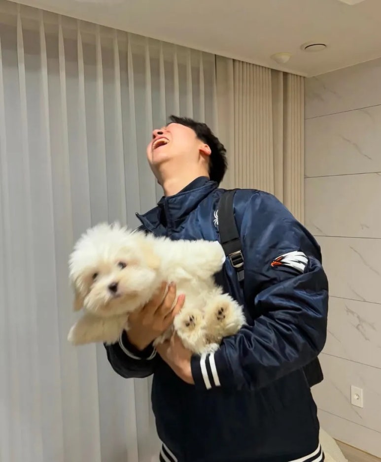 해와달 이미지