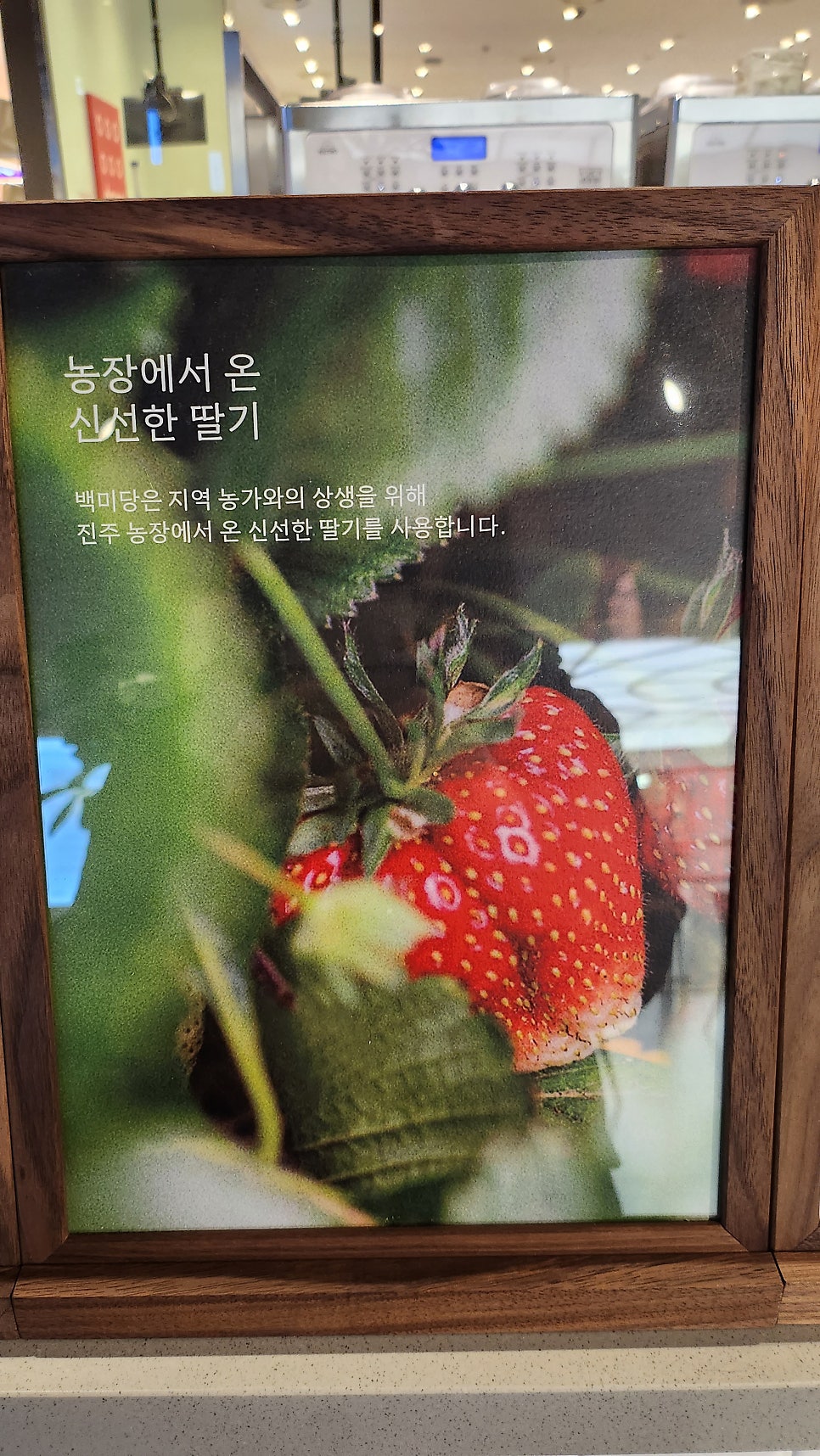 백미당롯데 이미지