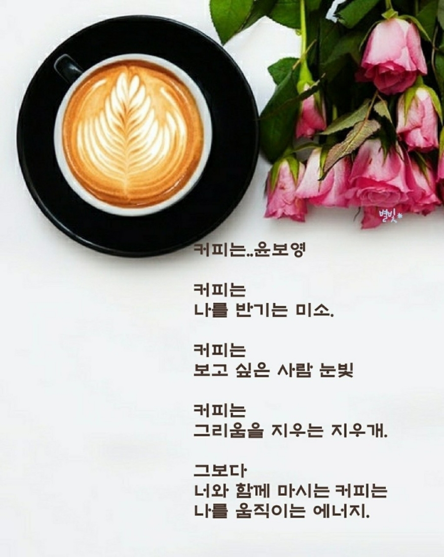 피 이미지