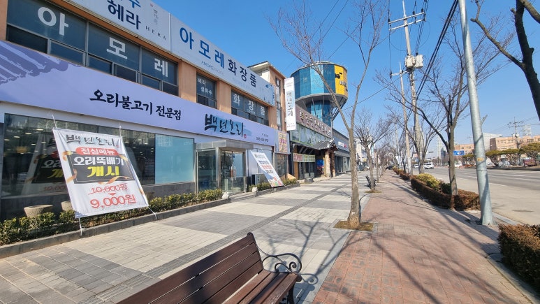 백년오리 이미지