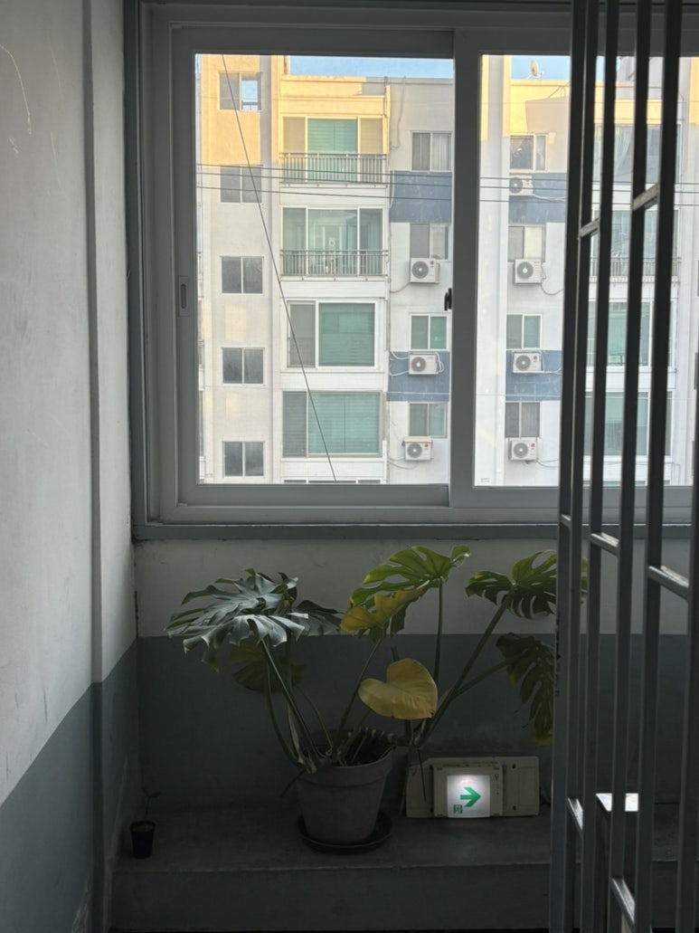 연희샵 이미지