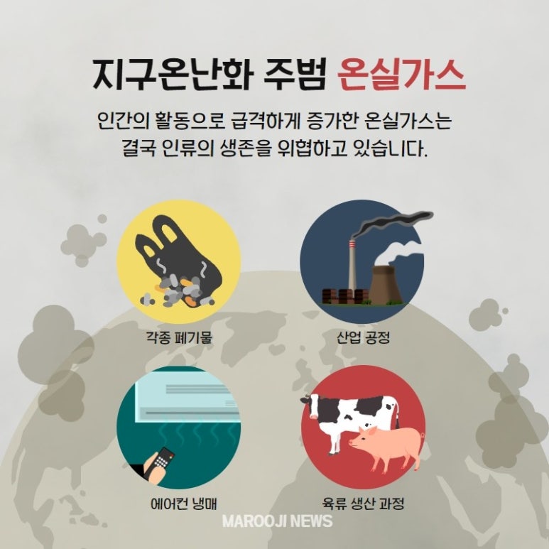 센트럴키즈교육 이미지