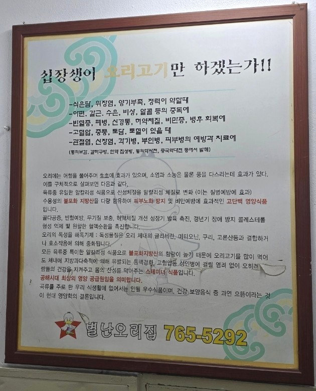 별난오리 이미지