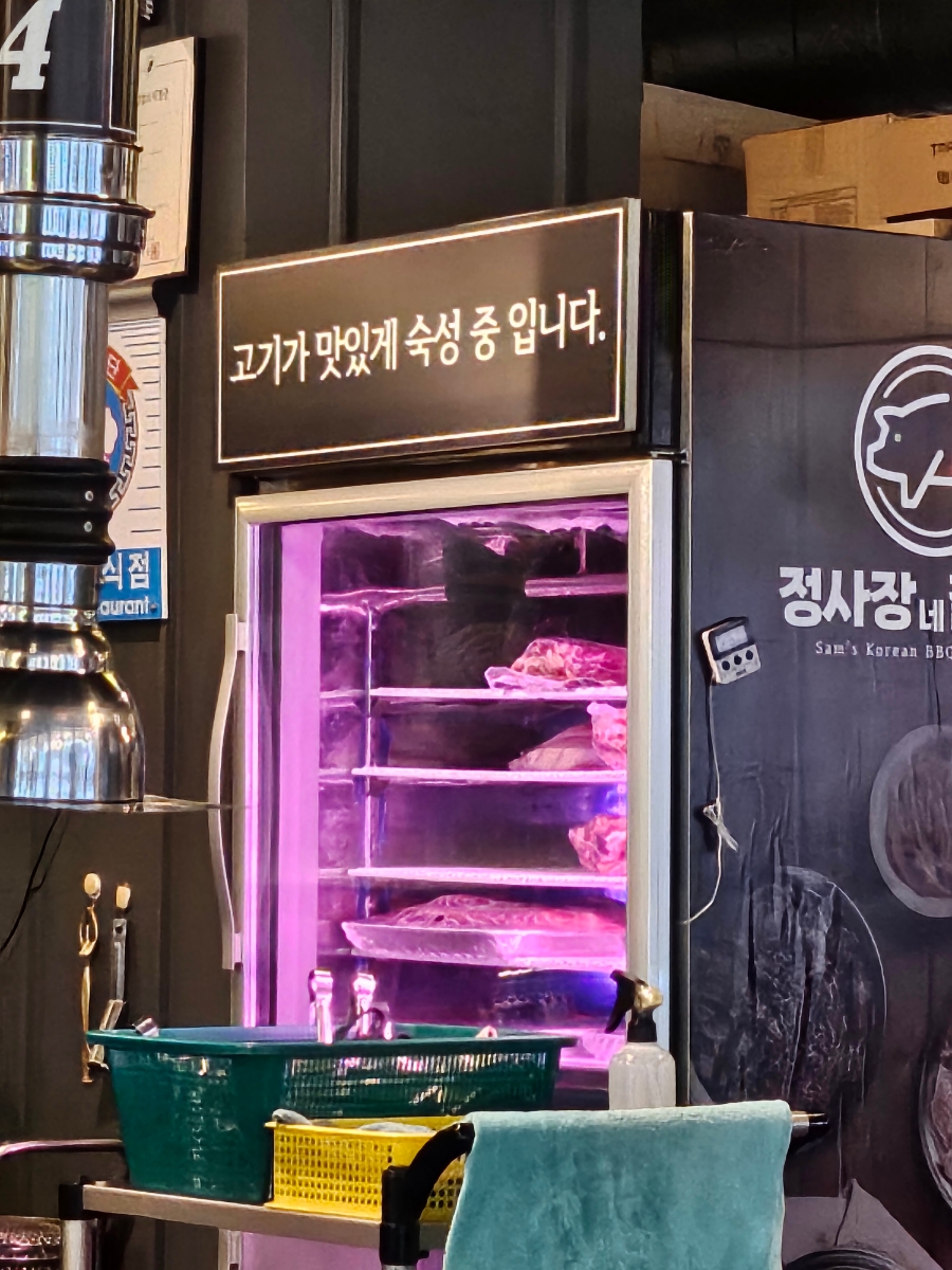 정사장네갈매기 이미지