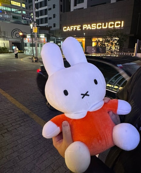 탑인형뽑기 이미지