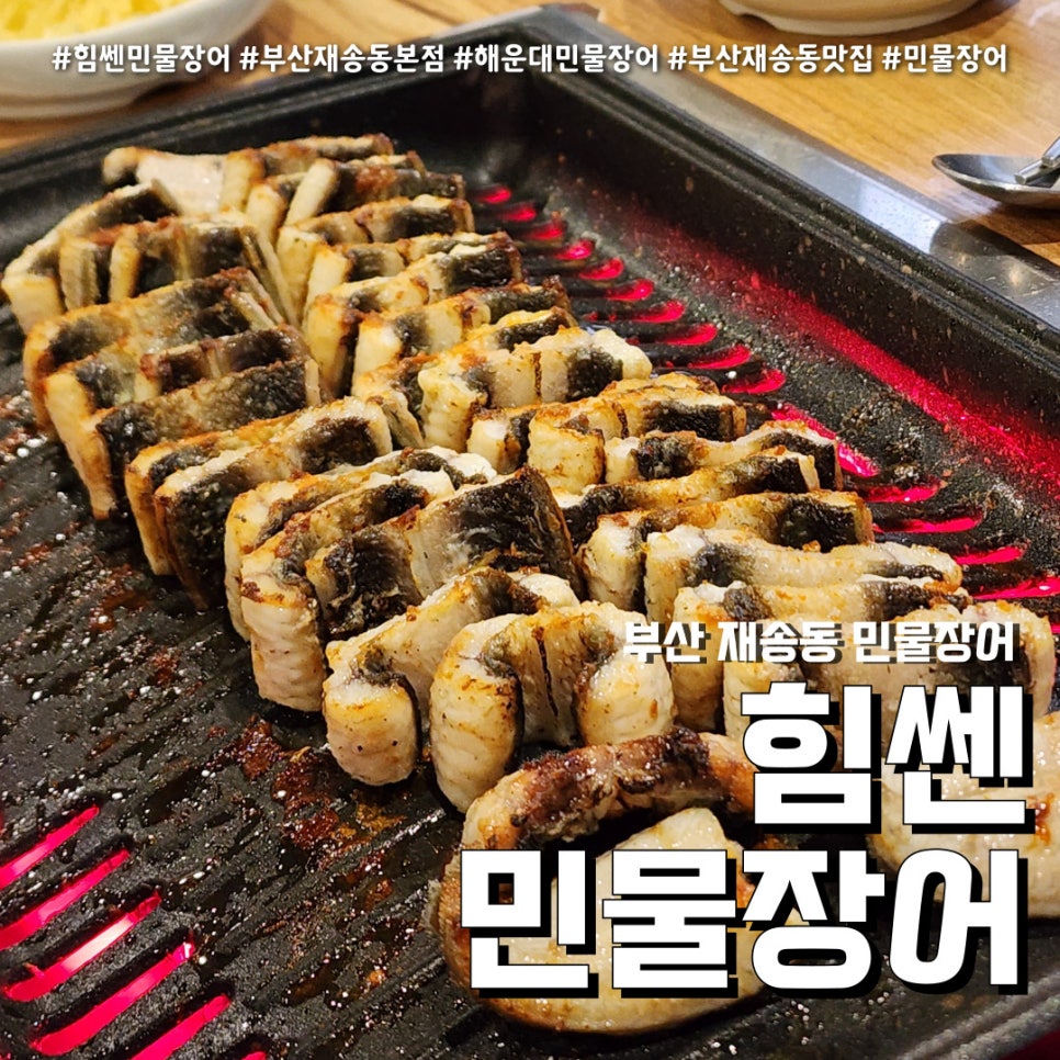 힘쎈민물장어 이미지