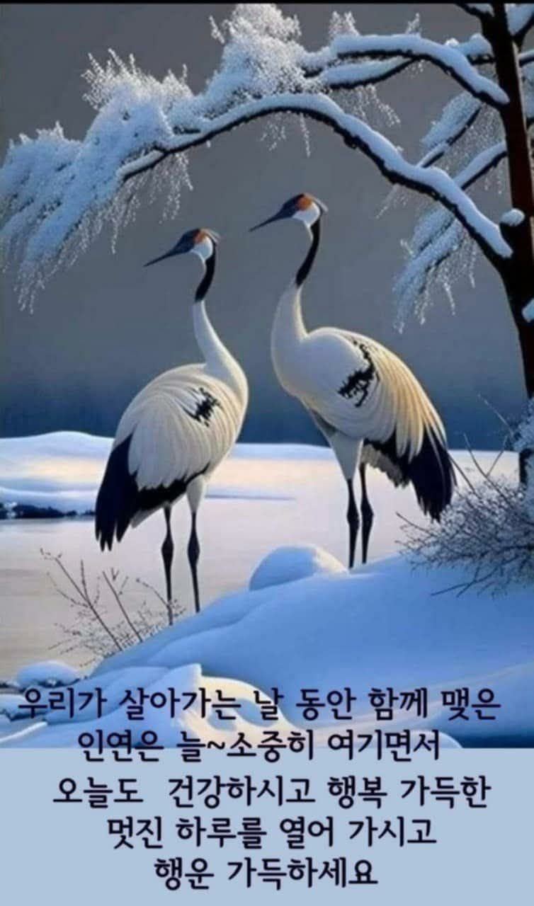 빛과 소금 이미지