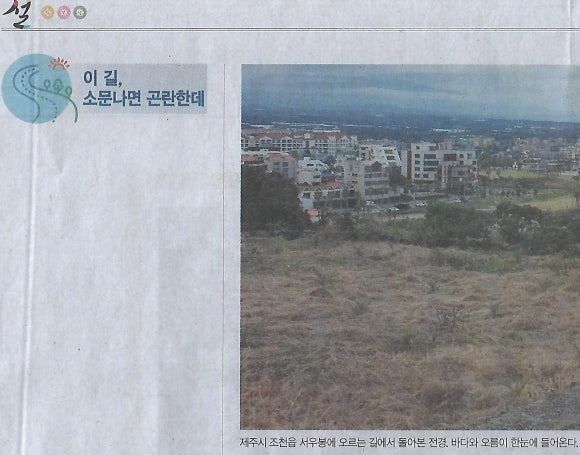 도성집 이미지