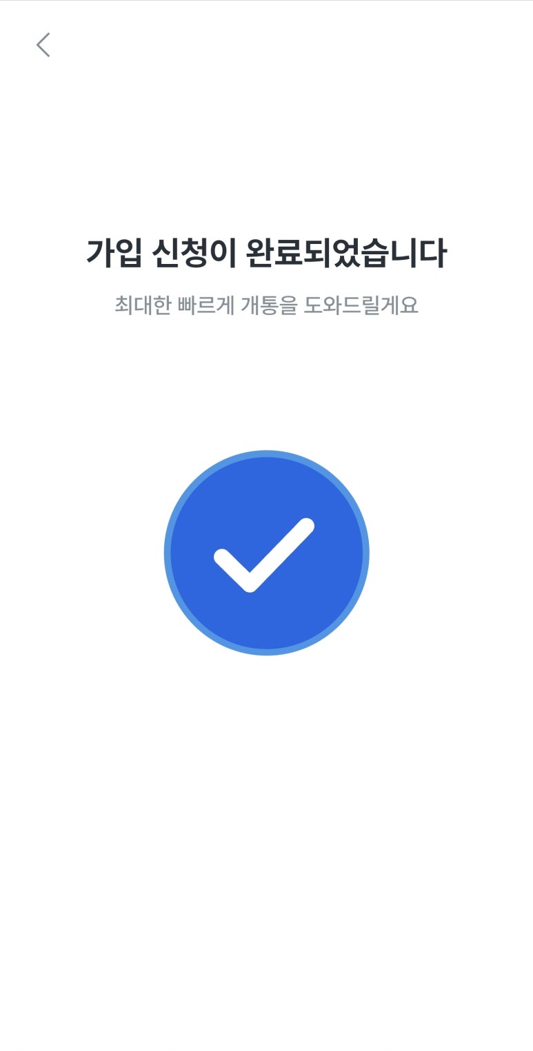 모요 이미지