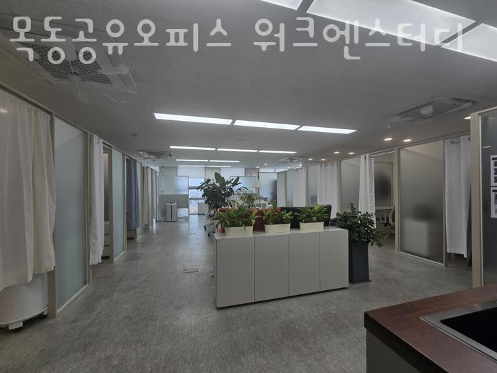 엔스터디 이미지