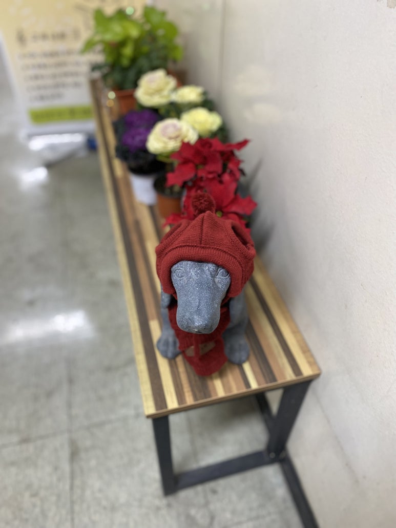 지니즈가든 이미지