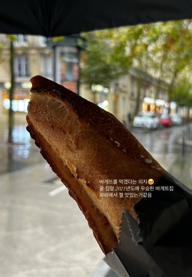 트라디시옹 이미지