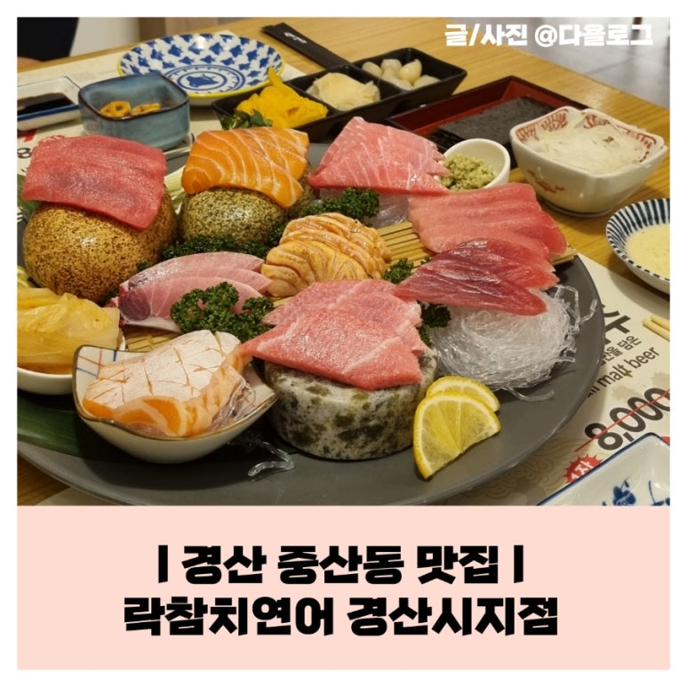 락참치연어 이미지