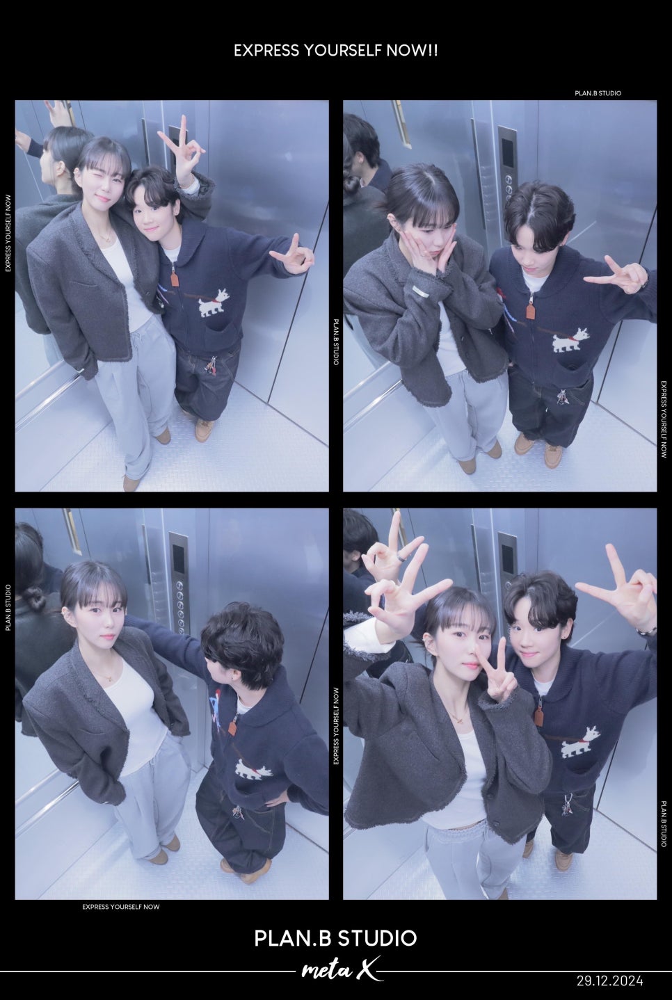 샹차이 이미지