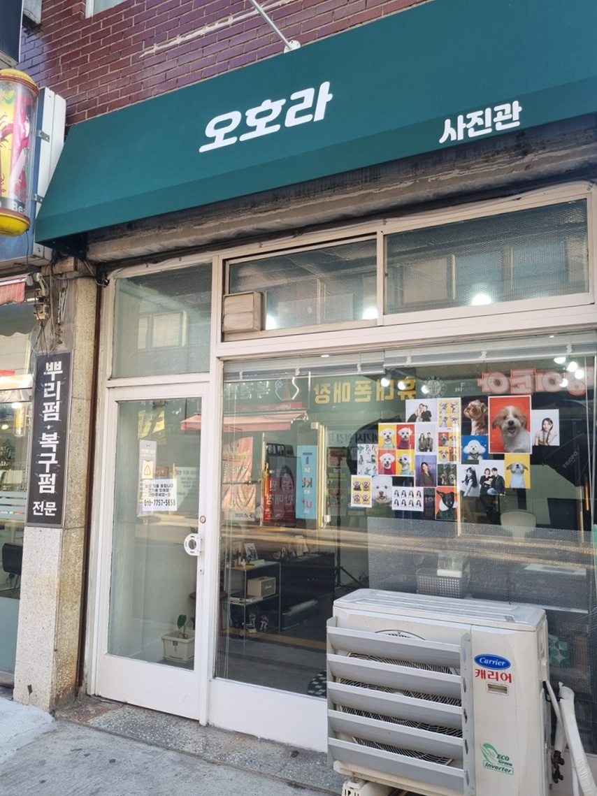 오호라사진관 이미지