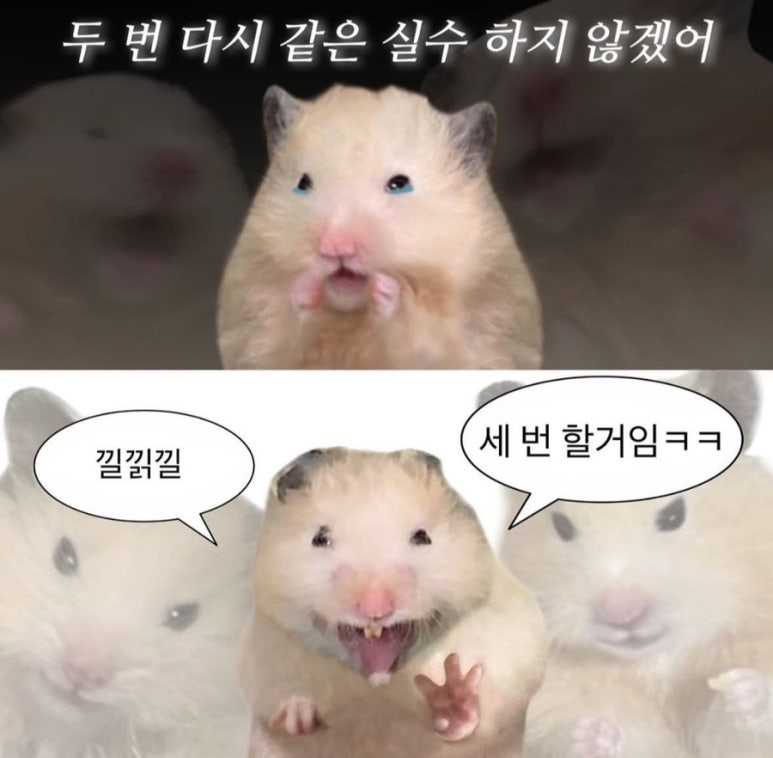 문*용 이미지