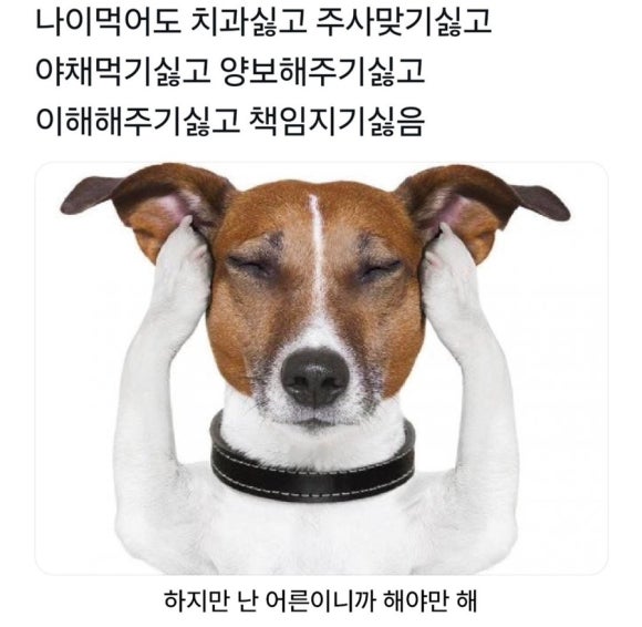 샌디치 이미지