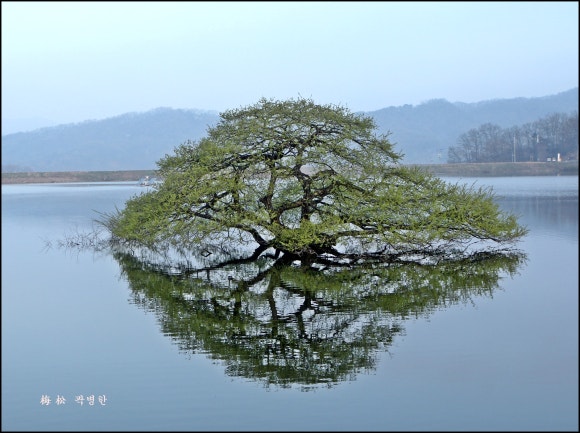 백마개발 이미지