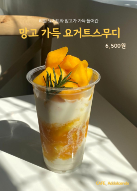 아돌첸도피아노 이미지