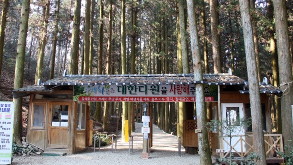 주식회사 보성녹차인 이미지