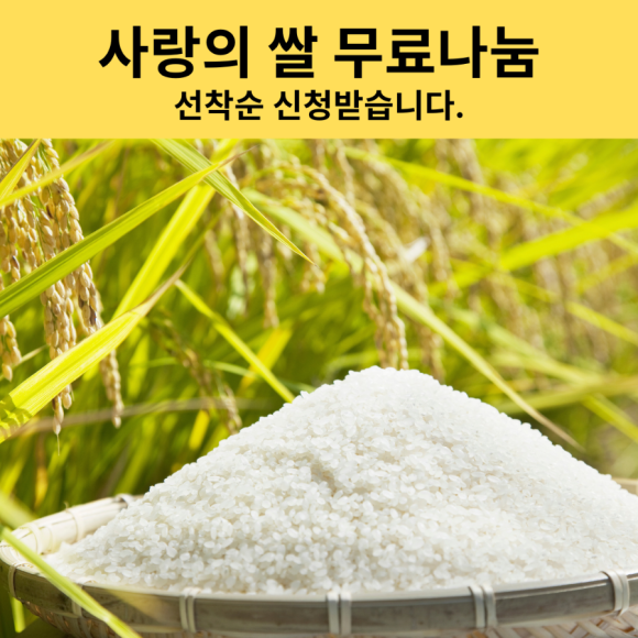 샛별음악학원 이미지
