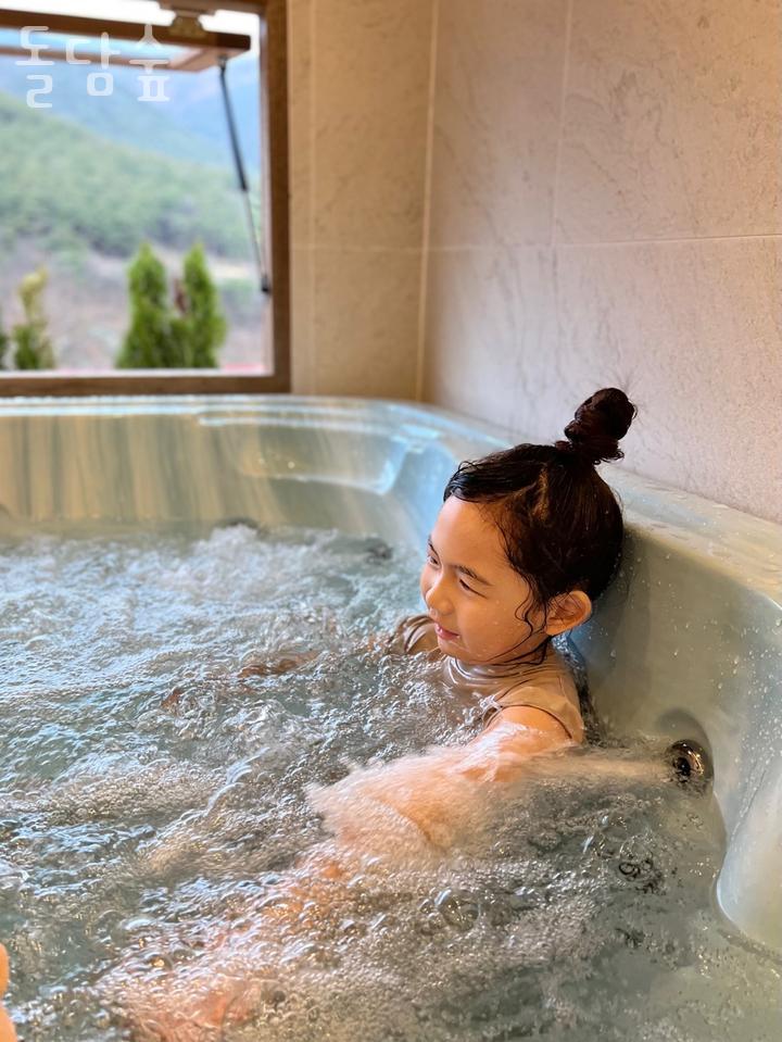 돌담숲 이미지