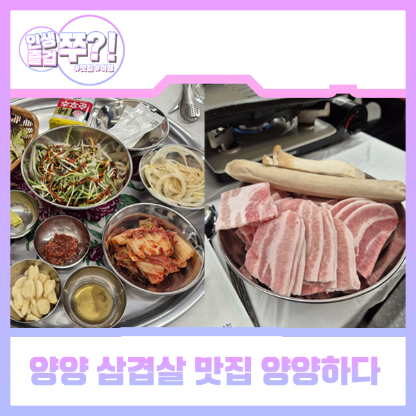 양양하다 양양읍 직영점 이미지