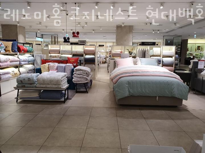 코지네스트현대 이미지