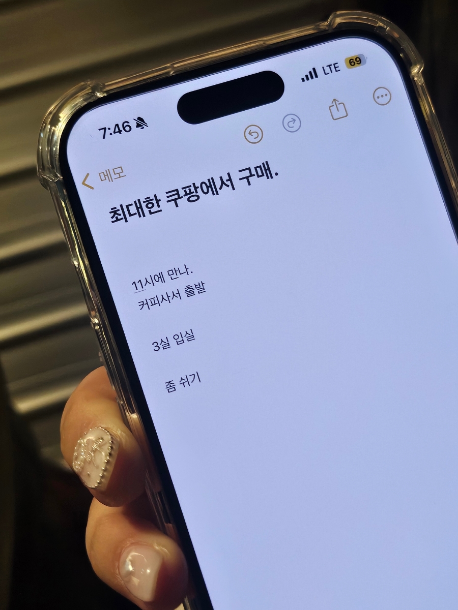 이집트경양식 이미지