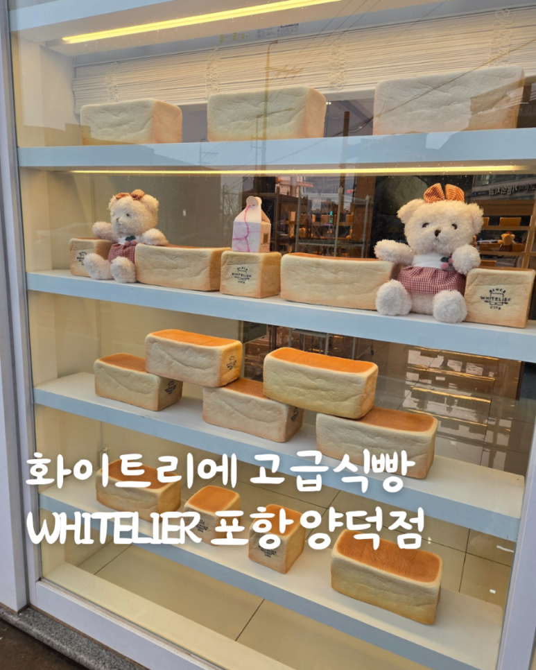 화이트리에(포항양덕점) 이미지