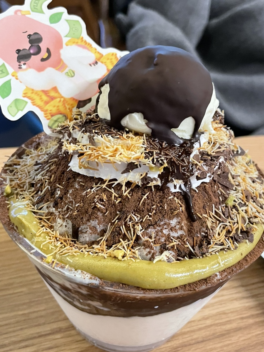 쉘위코딩 이미지