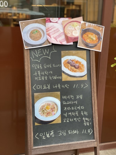 카미나무 이미지