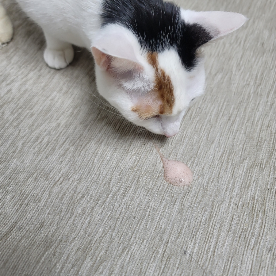 토인헤어 이미지