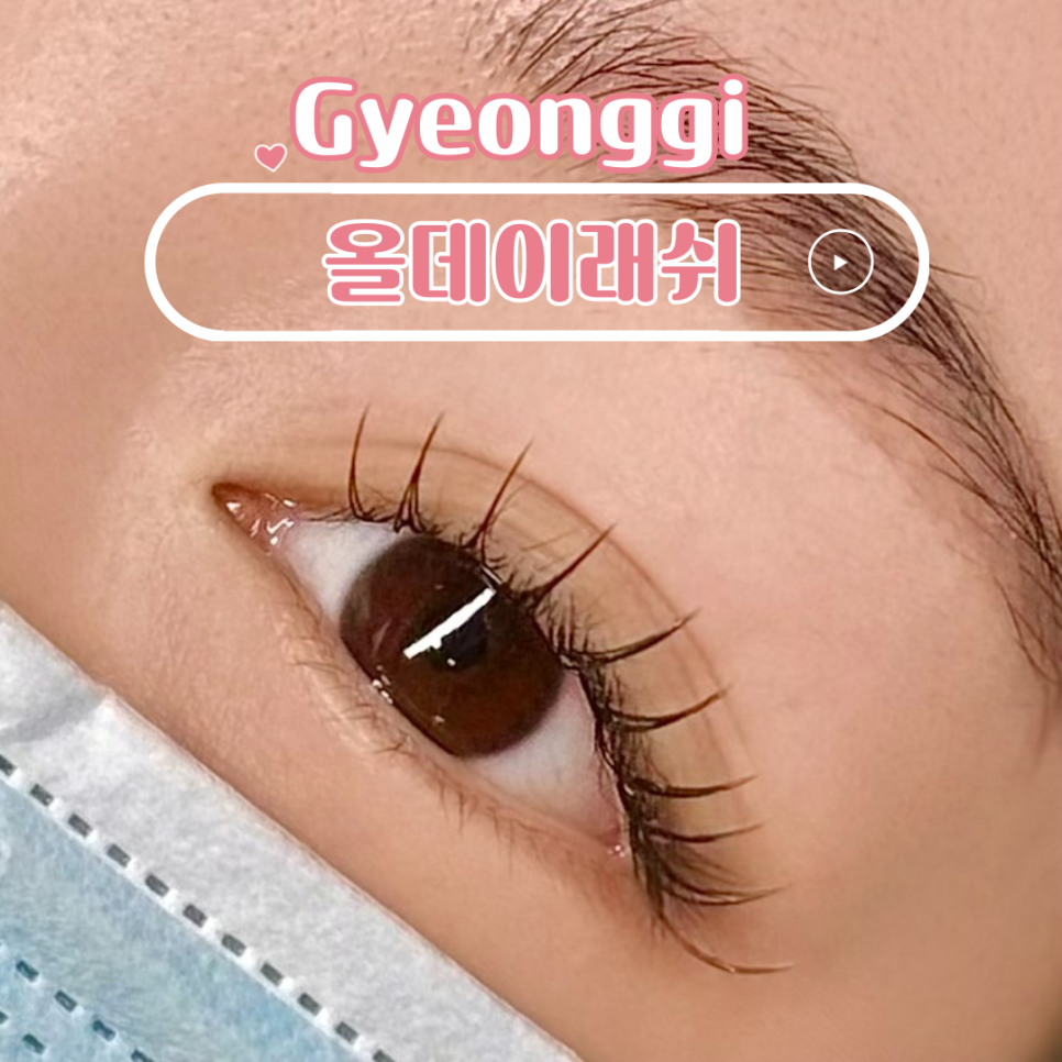 올데이래쉬 이미지
