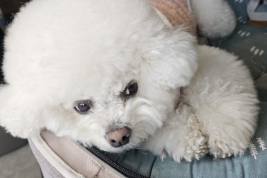 스마일앤조이 이미지