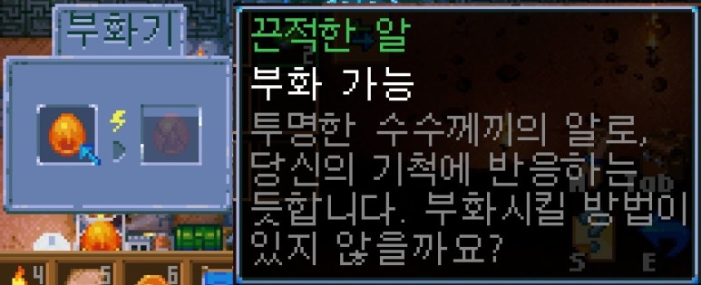 펫키퍼 이미지