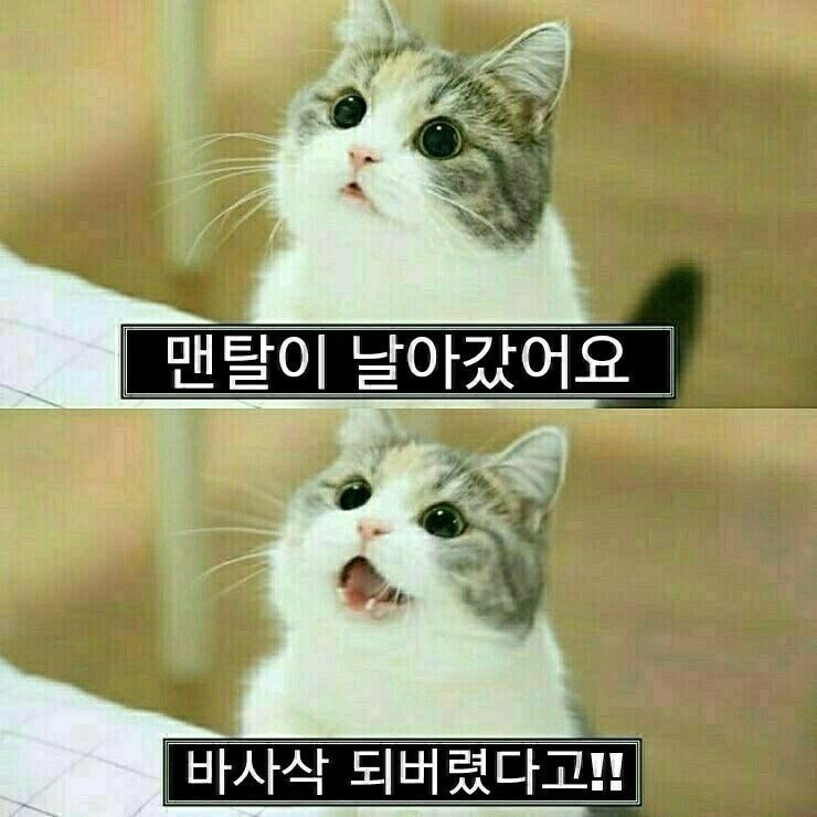 내일 더 이미지