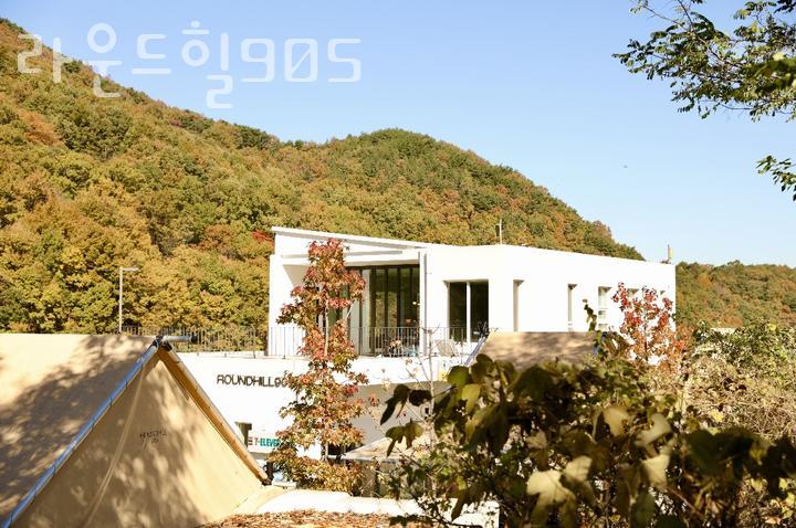 라운드힐 905 이미지