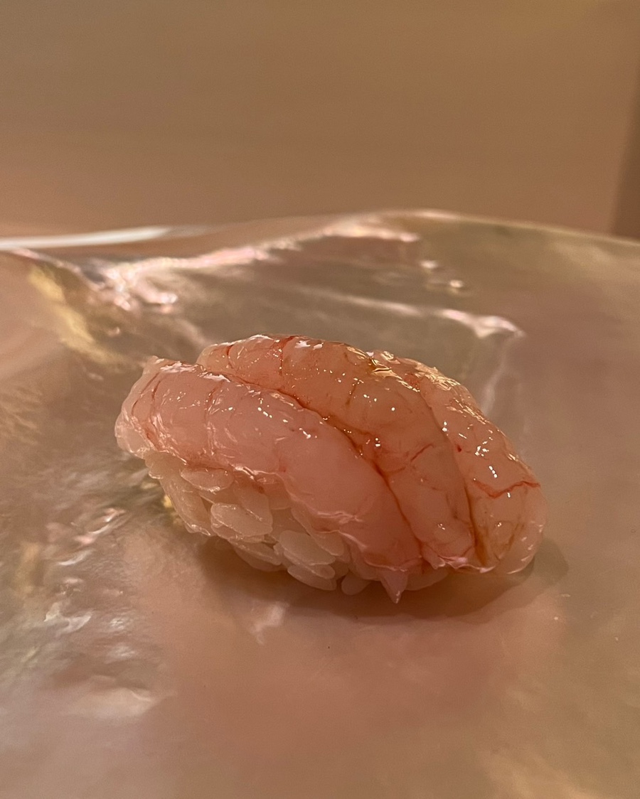 아오타 이미지
