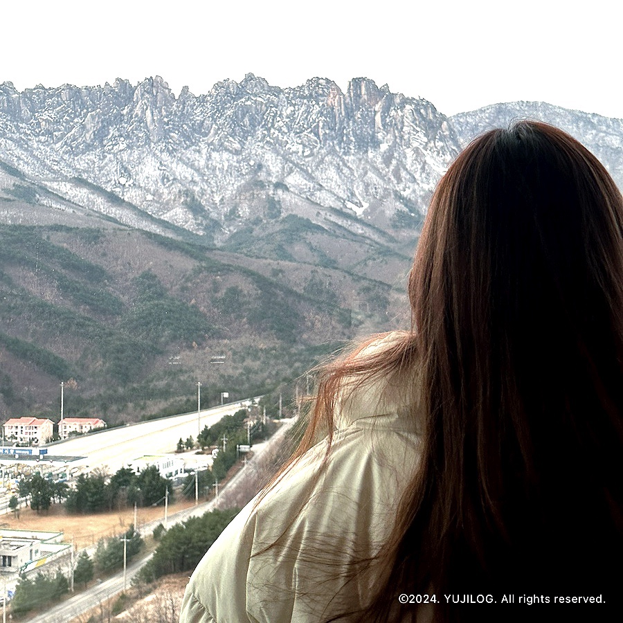 금강산브레드 이미지