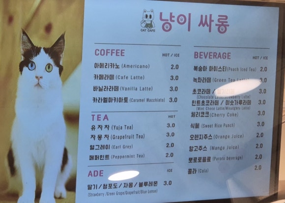 냥이싸롱 이미지