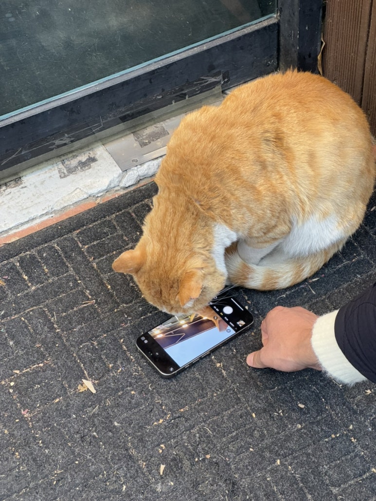 디다카페 이미지