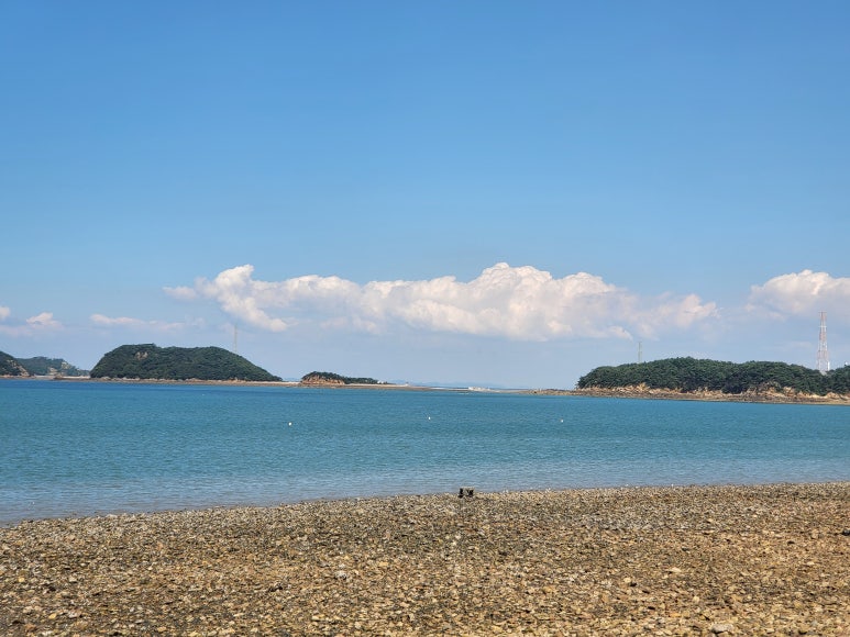 홍일수산식당 이미지