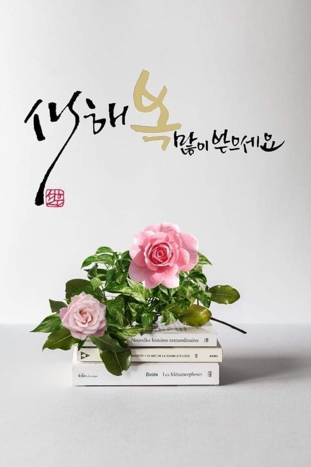 대성자판기 이미지