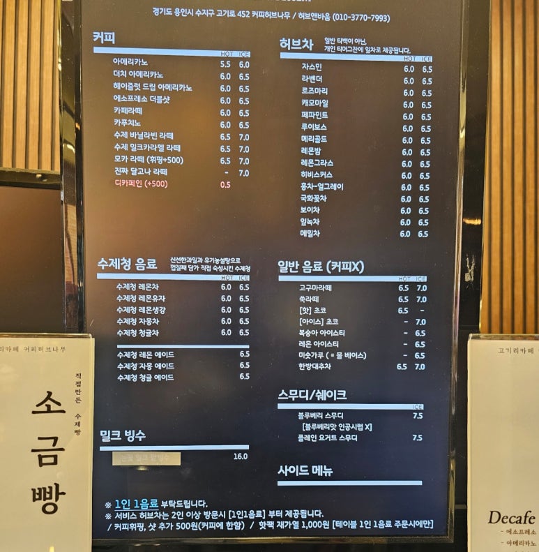 커피허브나무 이미지